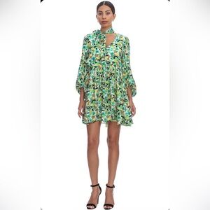 Ted Baker ILVA Full Skirted Mini Dress Floral Green Dress 2 floral print